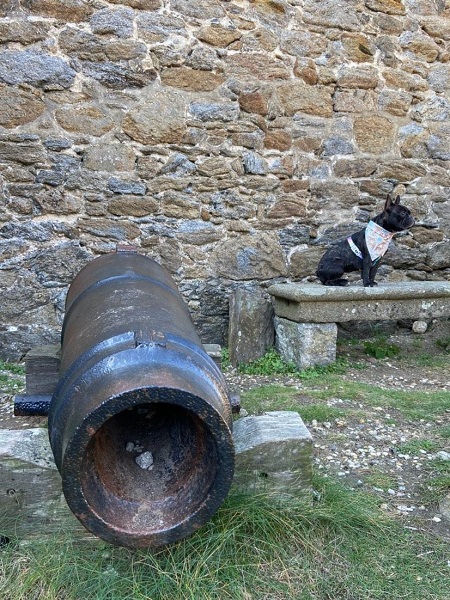 visite fort national avec chien