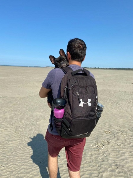 voyage avec chien en bretagne