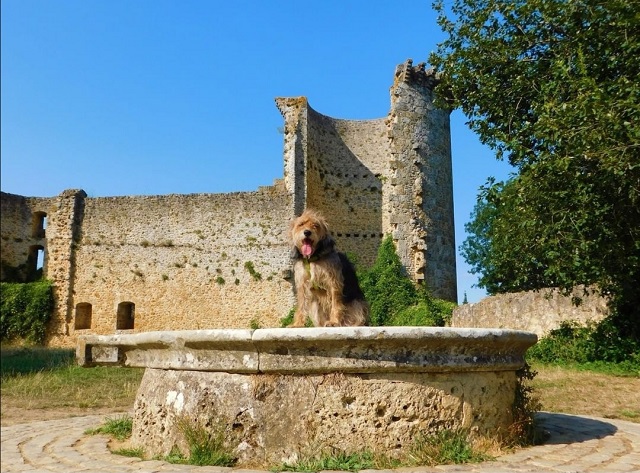 Château de la Madeleine