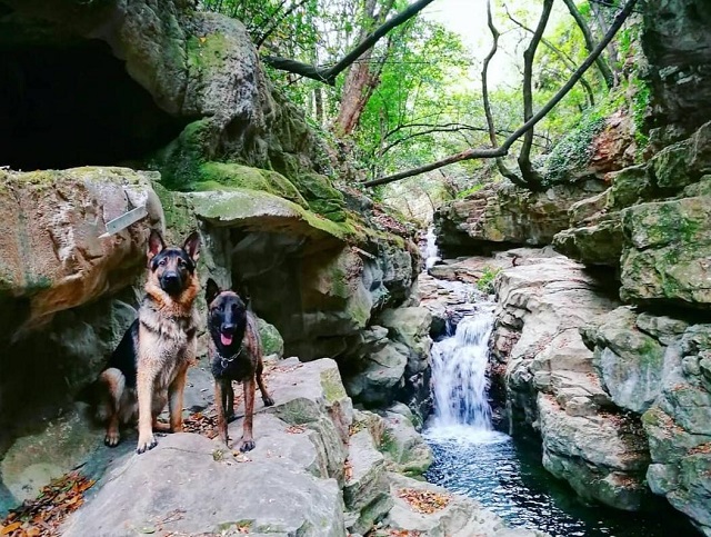 gorges du riou avec chien