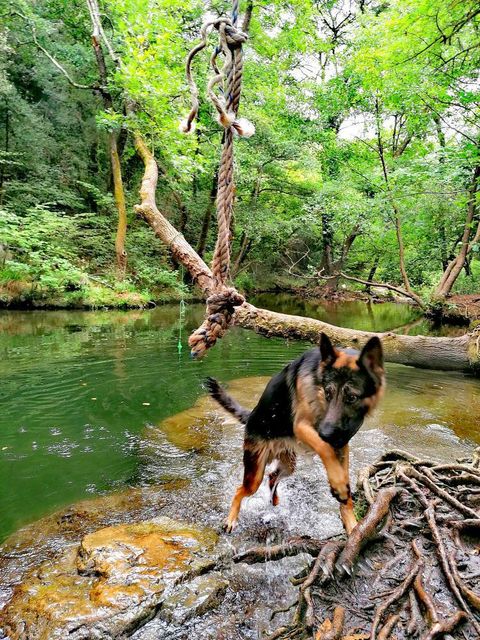 parc départemental de la brague avec chien