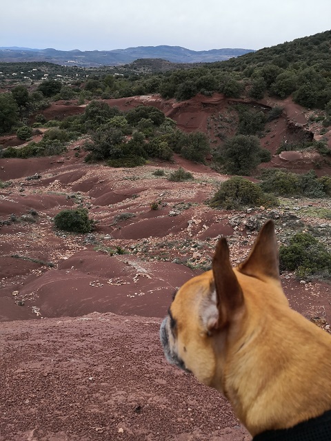 Canyon du Diable