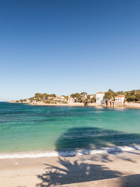 locations à bandol qui acceptent les chiens pour les vacances