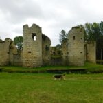 randonnée avec chien en vendée