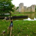 tourisme avec mon chien en vendée