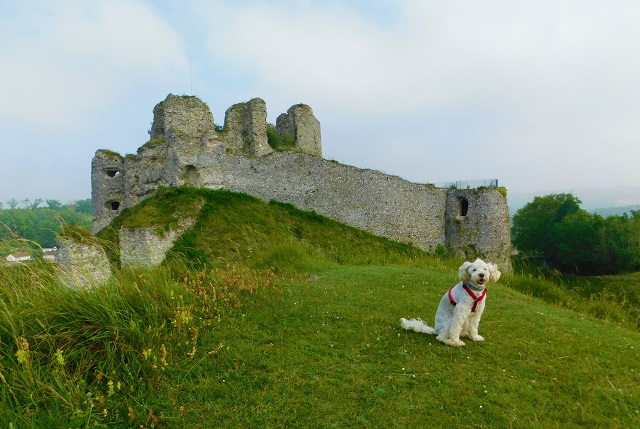 Château d'Arques-la-Bataille