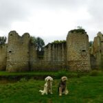 visite de château avec chien en vendée