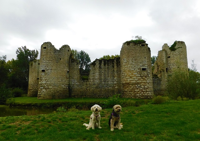 visite de château avec chien en vendée