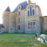 balade en vendée avec chien