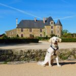 randonnée avec chien logis de la chabotterie