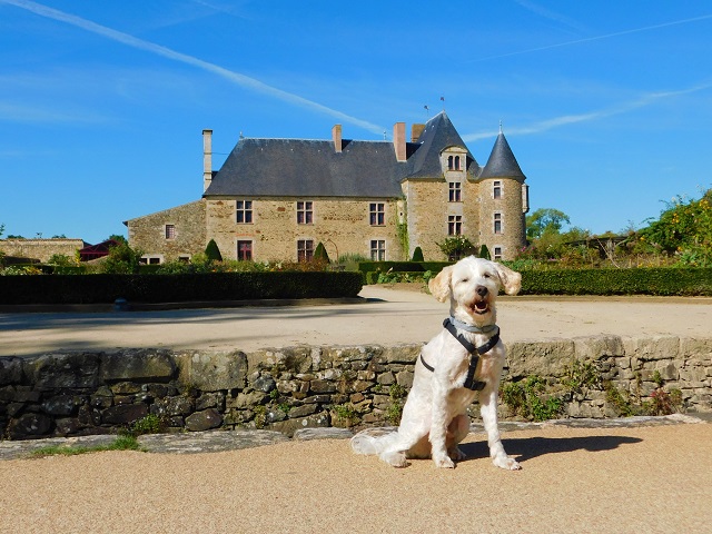 randonnée avec chien logis de la chabotterie