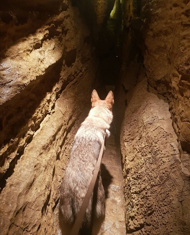 Grotte les Cuves de Sassenage