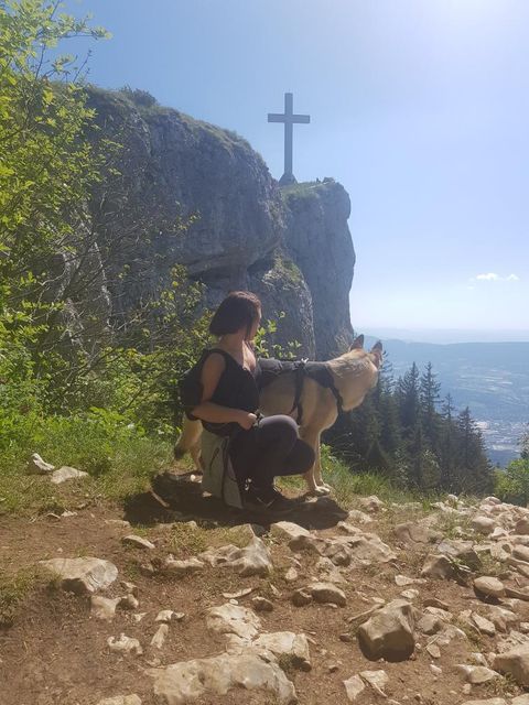 croix du nivolet balade avec chien