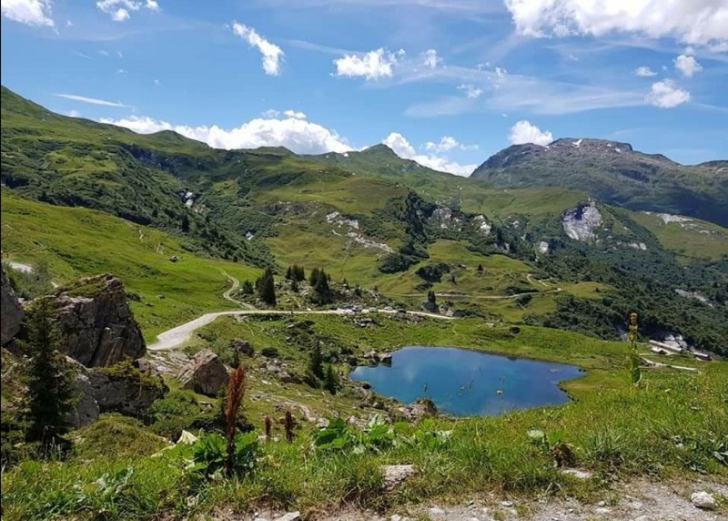 découvrir la savoie avec son chien