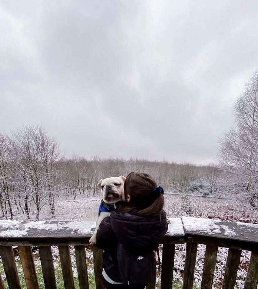 mont-pagnotte avec chien