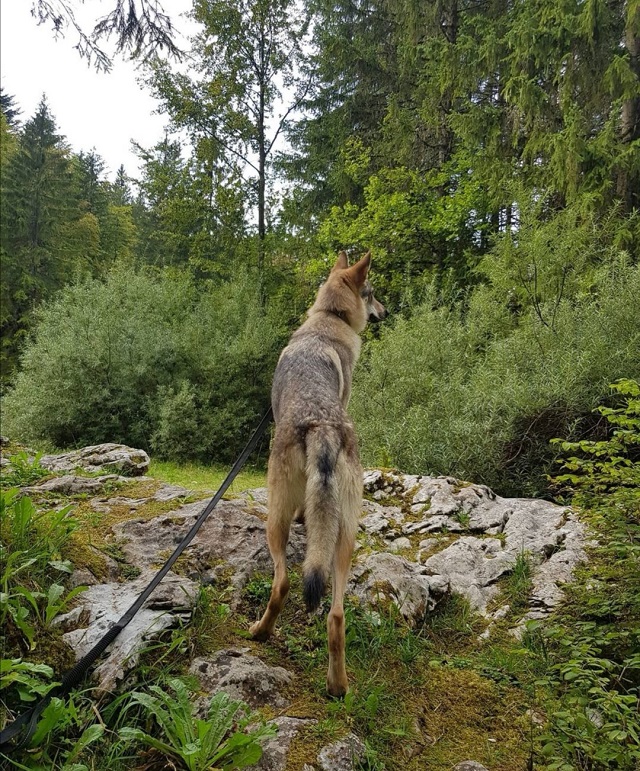 Cirque de Saint-Même