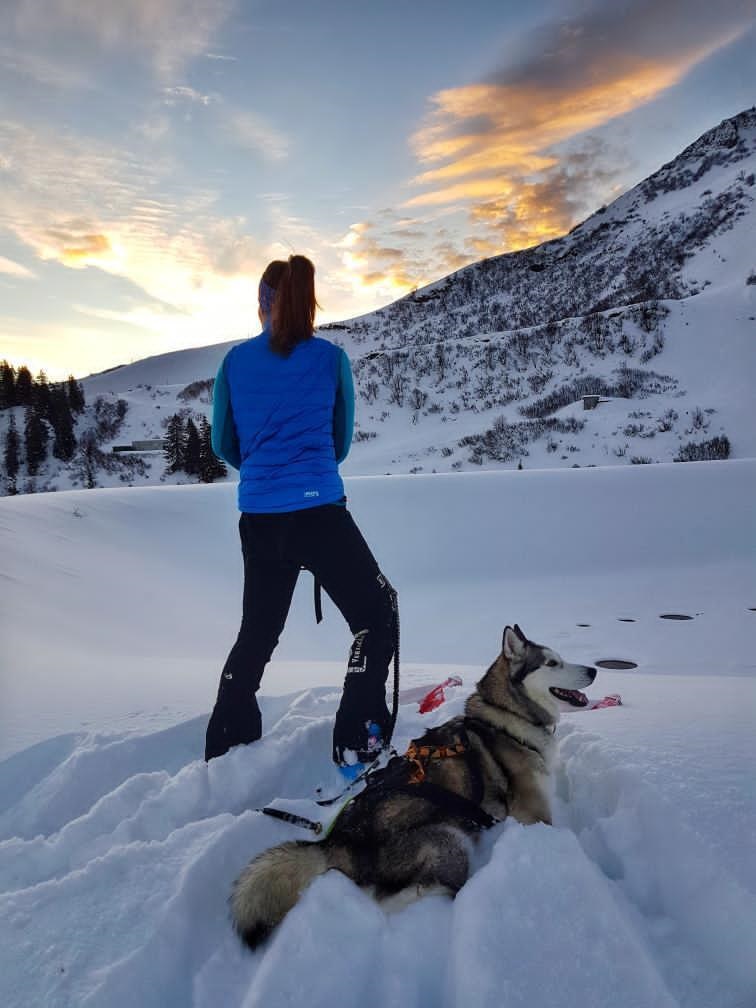 séjour en hiver avec chien en haute savoie