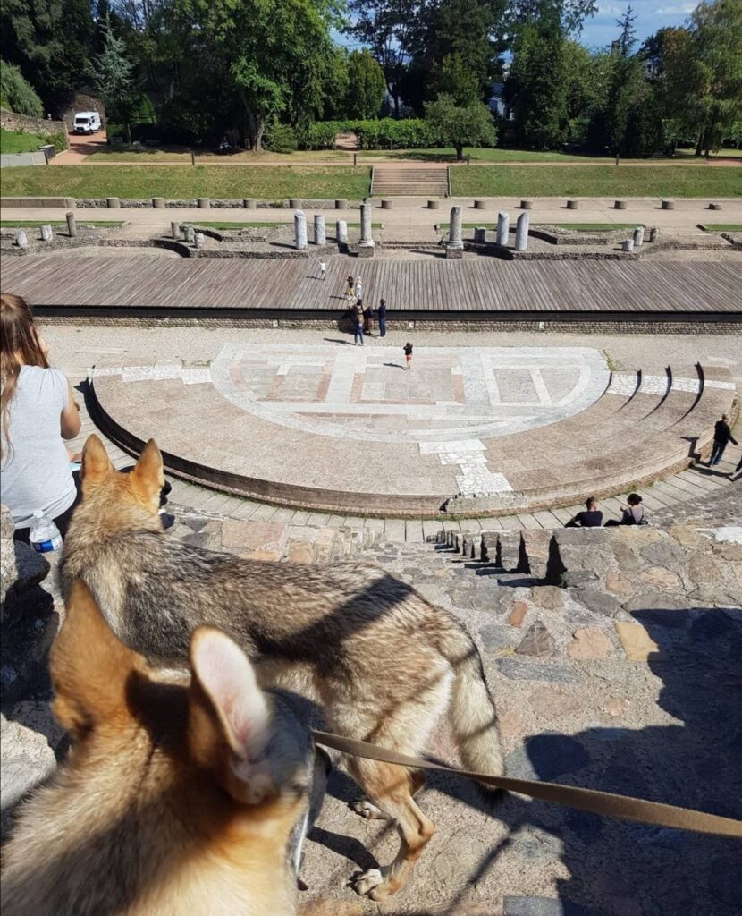 théatres romains de lyon avec chien