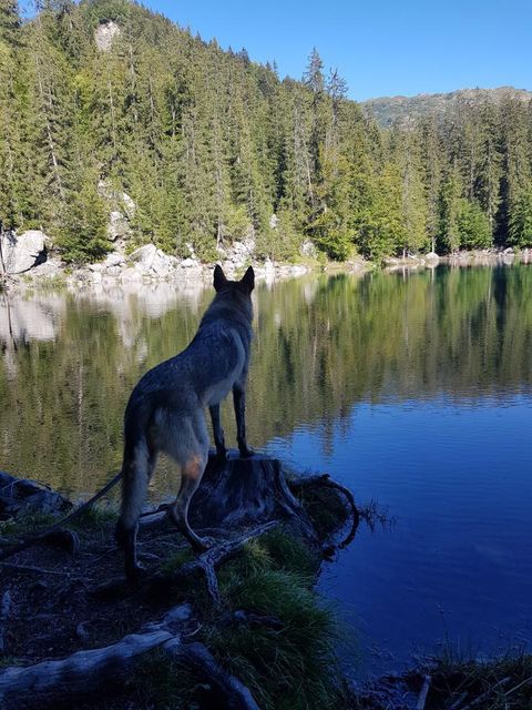 Lac Vert