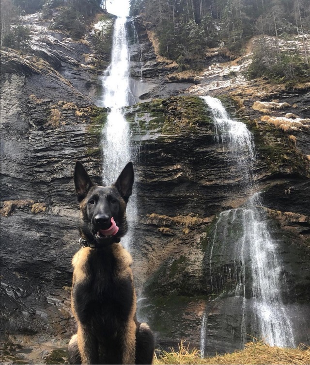 cascade du rouget avec chien