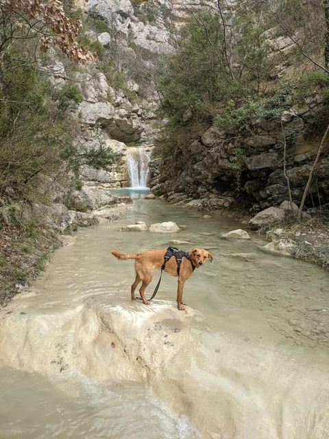 Gorges du Léoux