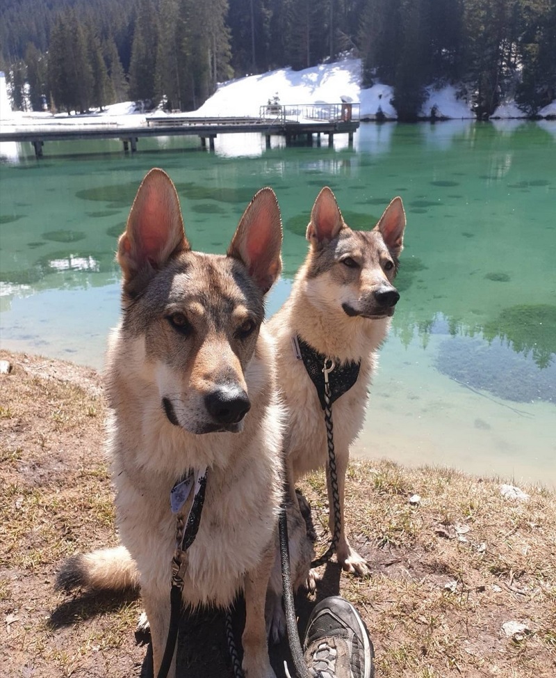 Lac de la Rosière