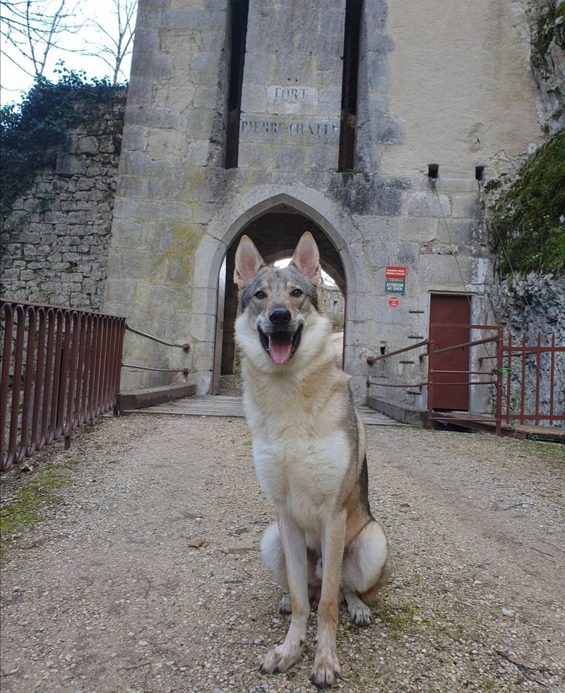 Fort de Pierre-Châtel