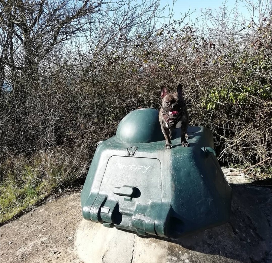 Batteries du Mont Canisy