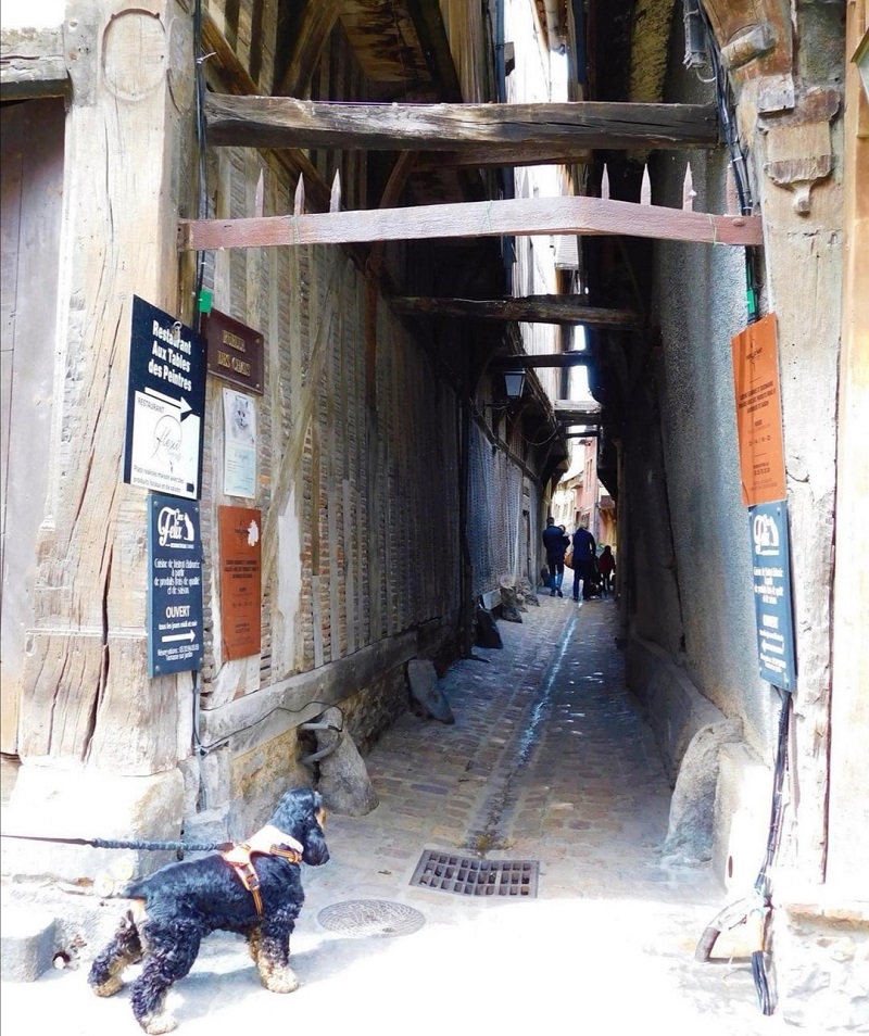 balade dans les rues de Troyes avec chien