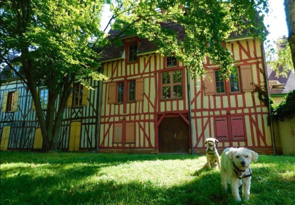 chien qui visite troyes