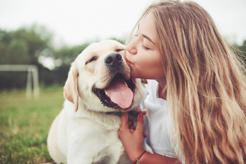 Chiens blancs : pourquoi plaisent-ils autant ?