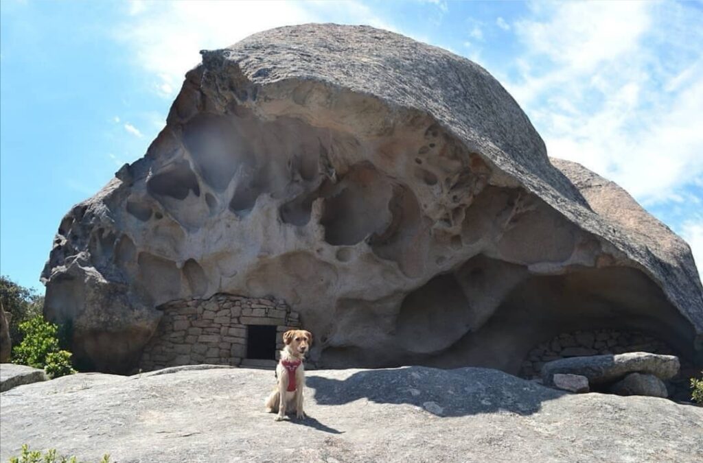 découvrir la corse avec un chien