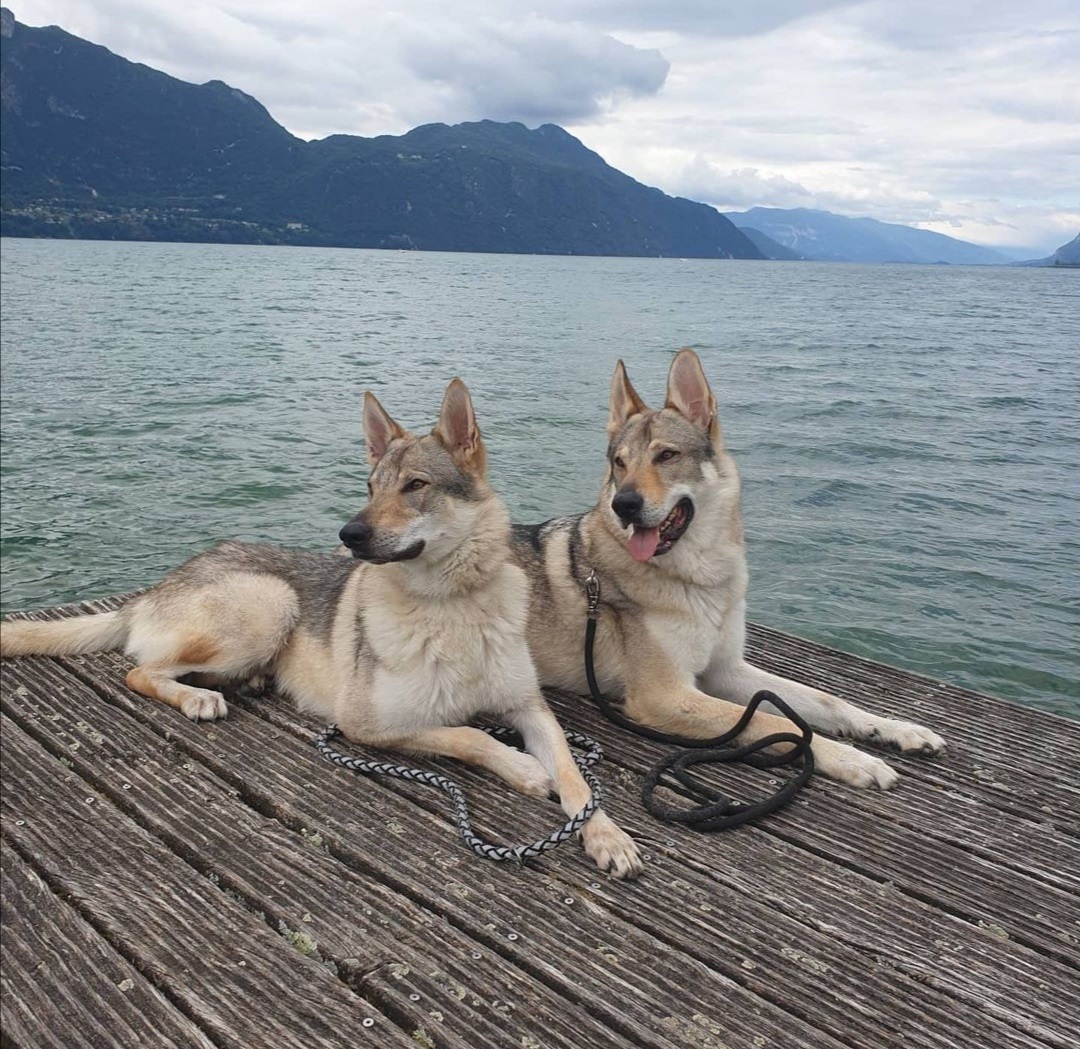 Lac du Bourget