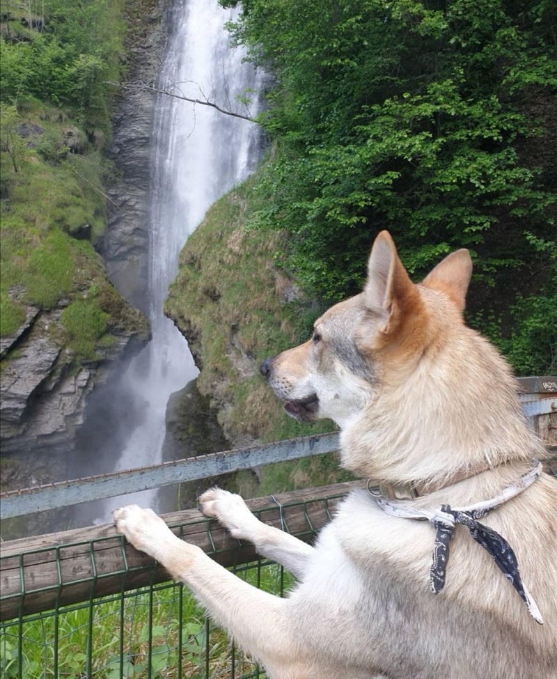 Cascade de Chedde