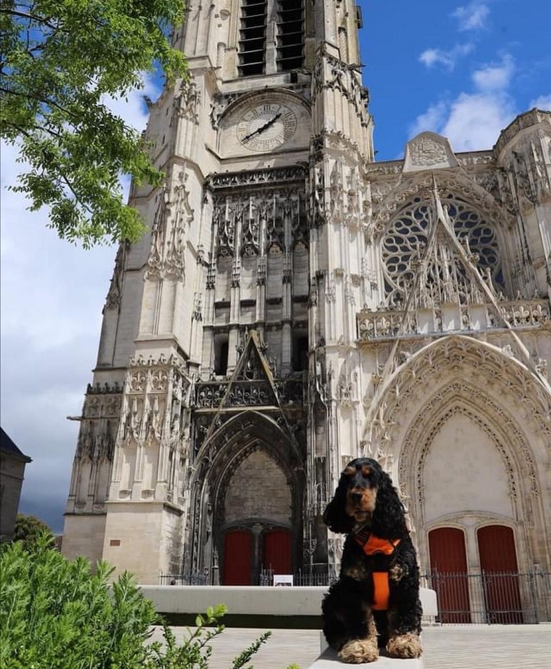 tourisme avec mon chien aube