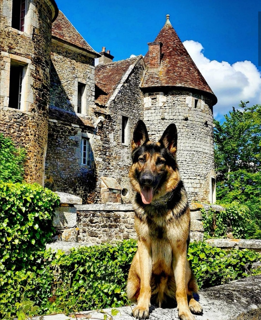 Château de Ratilly