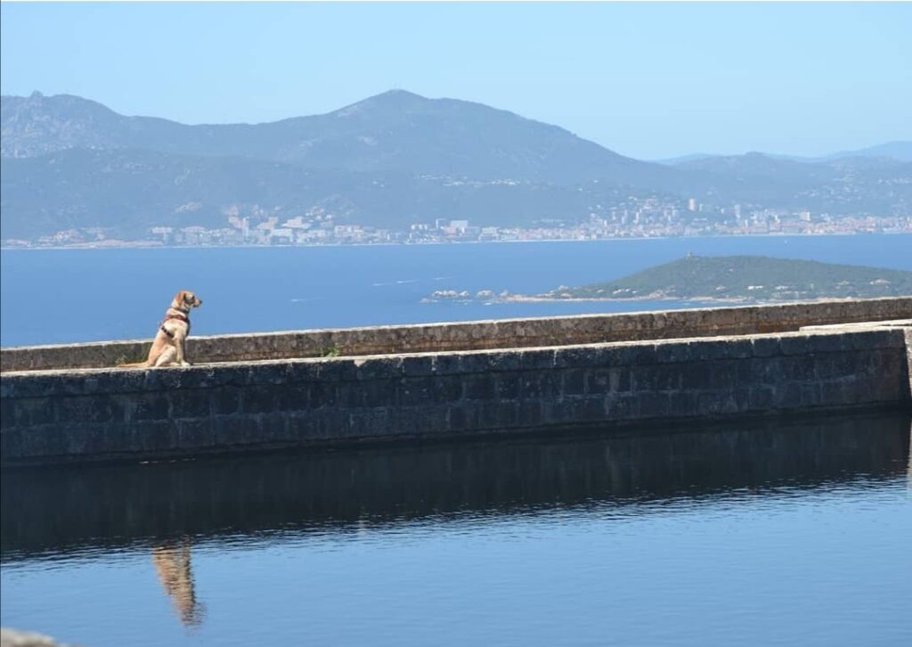 vacances avec chien en corse