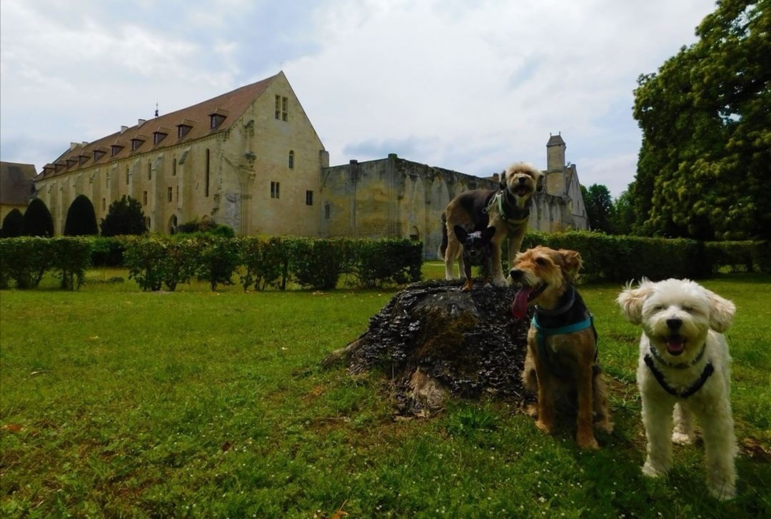 Abbaye de Royaumont