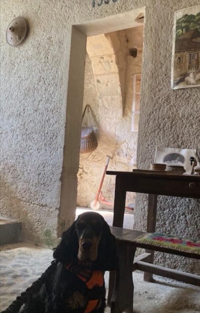 visite avec chien village troglodytique de Trôo