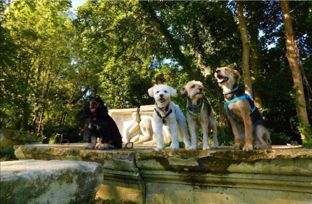 visite du jardin des sculptures de la dhuys