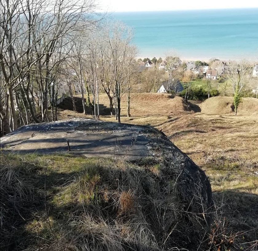 Forêt Monumentale