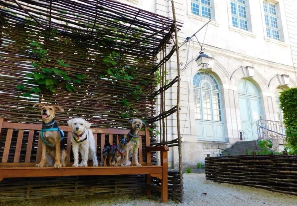 visiter troyes avec un chien