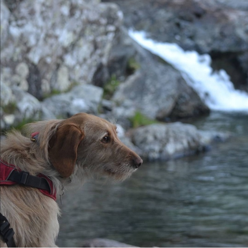 Cascade des Anglais