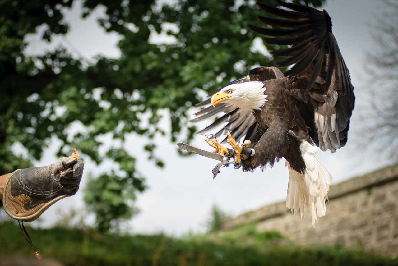 Rocher des Aigles