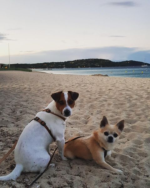 Plage de Pampelonne