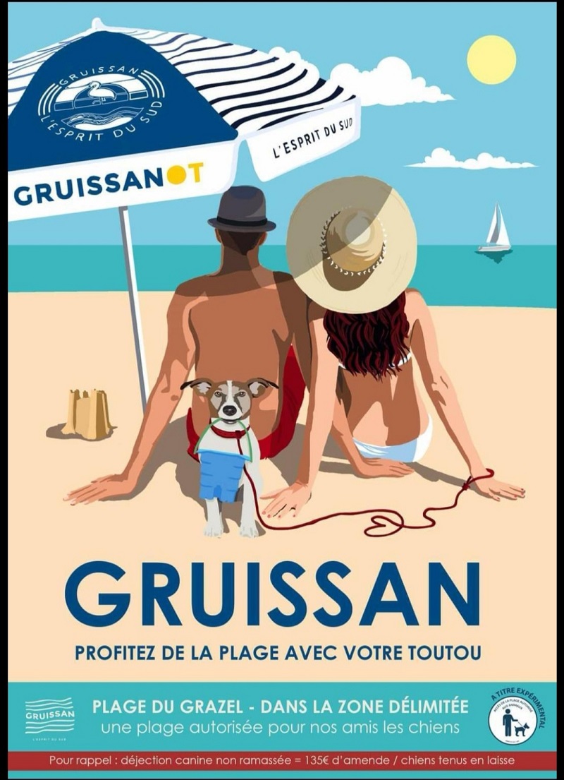 plage gruissan chien autorisé