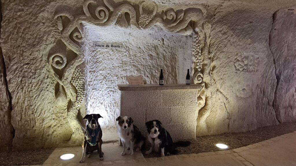 visite cave de la sibylle avec chien touraine