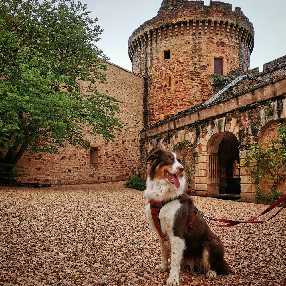 Château de Castelnau-Bretenoux