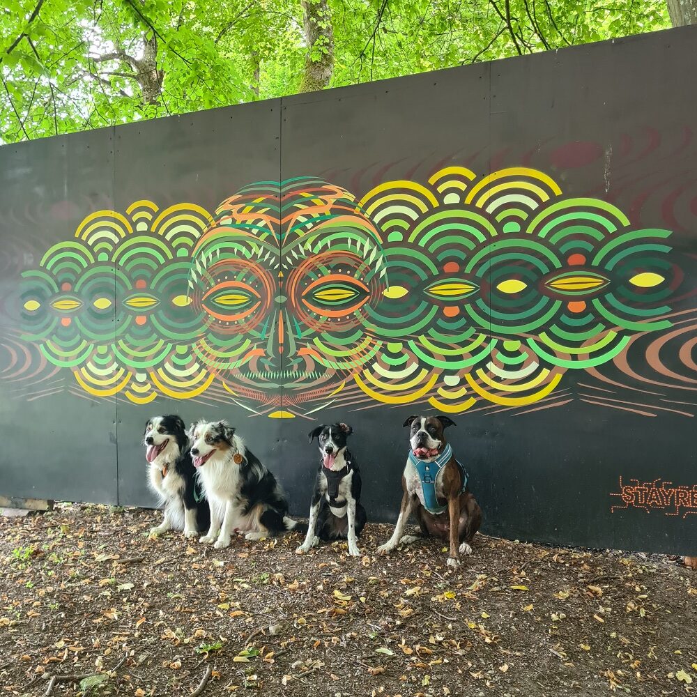 visite street art parc avec chien touraine