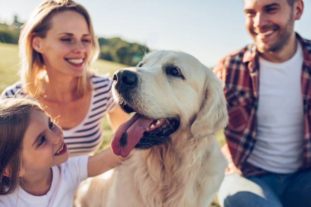 Photos, activités : 4 conseils pour passer de supers vacances avec votre chien